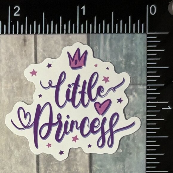 🌀10/$10🌀 Disney Junior Reusable Waterproof Vinyl Sticker Decal - Picture 1 of 1